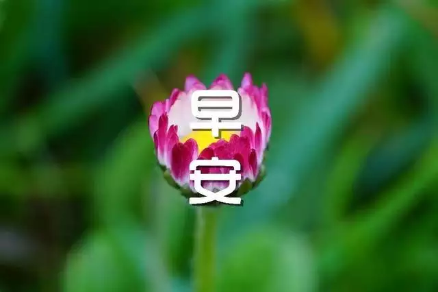 情侣爱情早安心语:早安心语:你真的知道如何去爱一个人吗
