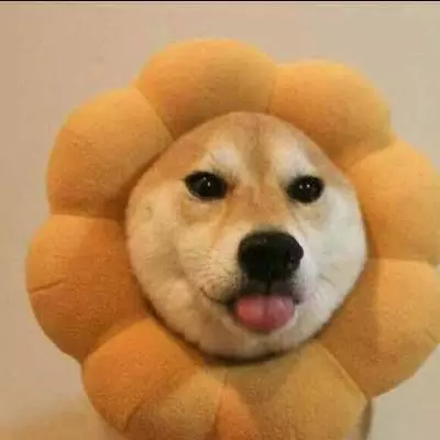 一狗一猫情侣头像