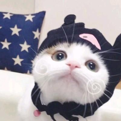 叮当猫情侣头像，求猫和老鼠的情侣头像，要高