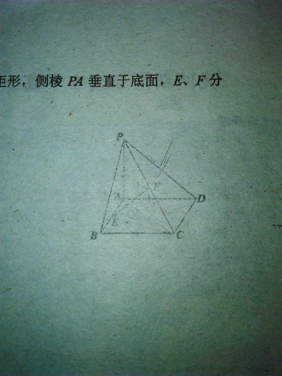 abcd哪个是假情侣，伪情侣是什么意思（假装情侣是什么意思）