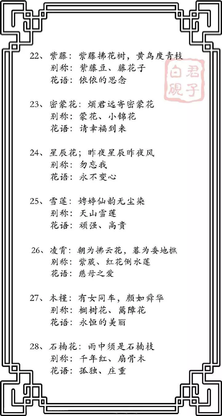 短英文情侣网名带翻译:唯美点的英语情侣网名
