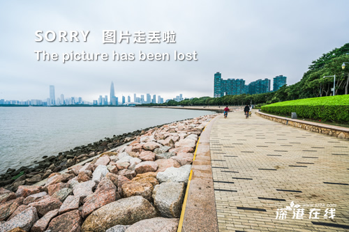 手拉手图片情侣背影，我要一对情侣手拉手的图