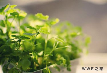 时光无声情侣网名，有没有好听点的网名？