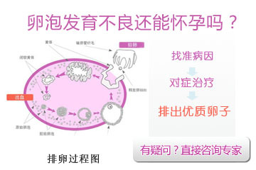 凭感觉哪对是假情侣，这四对不同电视剧,动漫的