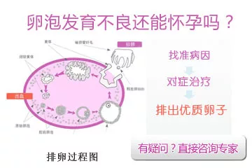 凭感觉哪对是假情侣