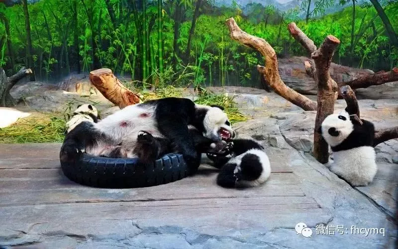长隆情侣票要求：长隆欢乐世界的情侣票两个女生可以用吗