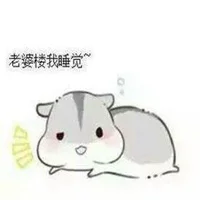 微信情侣恩爱表情：聊天女朋友发了一个投币转盘图片怎么解答