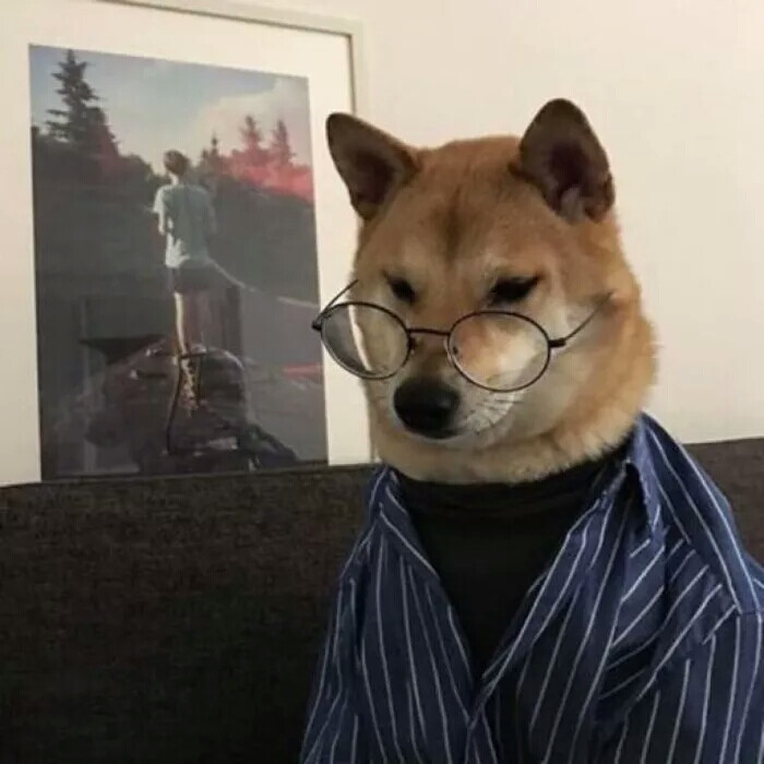 猫狗脸红的情侣头像，给我一张可爱猫图片，我