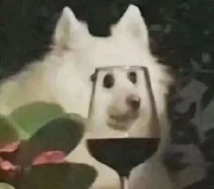 最虐狗的情侣头像，求证实……（最虐狗的情侣头像一对）