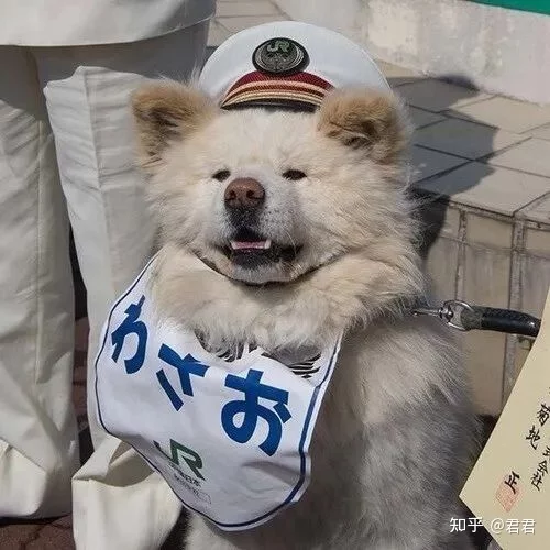 6、奶凶奶凶可爱的情侣头像:抖音刷到的一个可爱的小女孩的情侣头像，求另外一个男生的