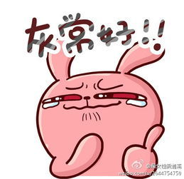 10秒测出怀男孩和女孩 测出怀男孩和女孩