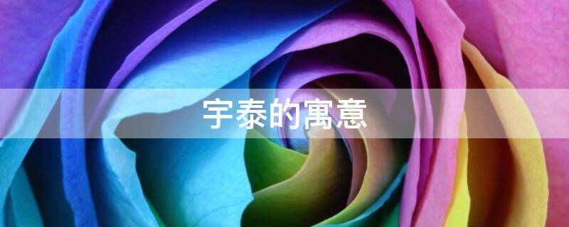 宇泰的寓意（宇字的寓意）