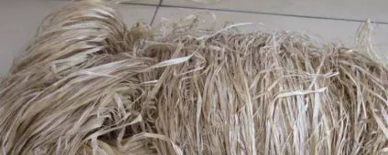 植物纤维是纯棉吗 纯棉植物纤维是纯棉吗