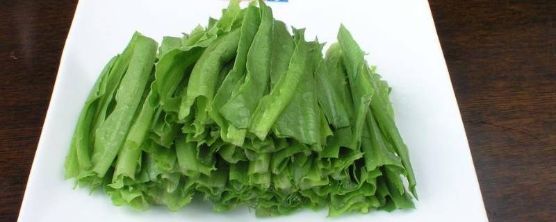 成都凤尾菜又叫什么 成都凤尾菜又叫什么菜名