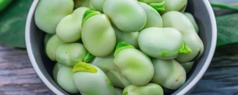 蚕豆的内部结构有哪些（蚕豆的内部结构是什么）