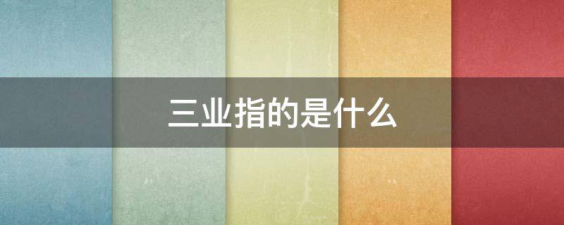 三业指的是什么（身三业口四业意三业指的是什么）