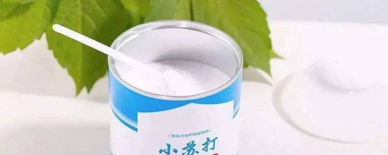 菠萝没有盐用什么代替（菠萝没有盐水用什么代替）