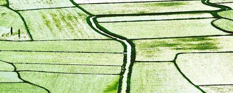 春耕行动宣传语 春耕行动的口号