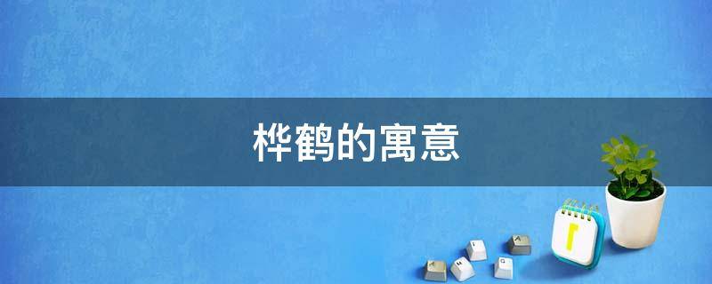 桦鹤的寓意（松与鹤的寓意）