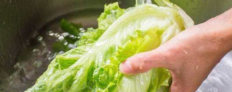 广东过年葱和生菜寓意 广东生菜和葱什么寓意
