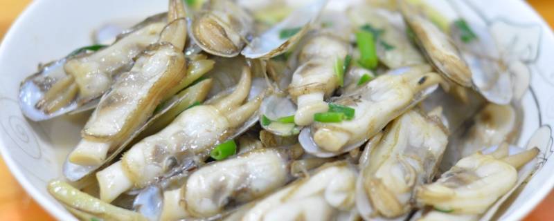 蛏子怎么读（蛏怎么读音）