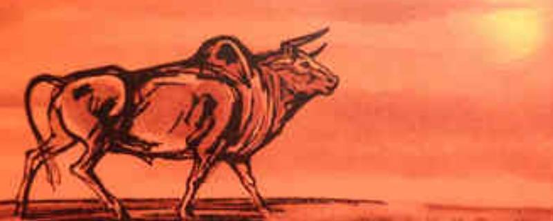 关于牛年的文字（关于牛年的文字内容）