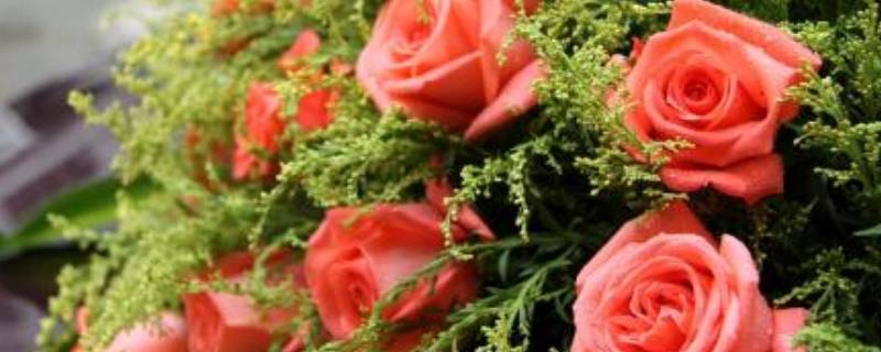 订婚花上卡片写什么字 领结婚证送花卡片写什么字