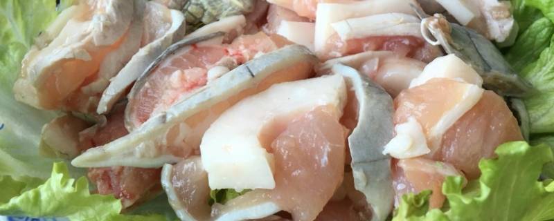 不怕打雷下大雨的动物 下雨了什么动物不怕雨