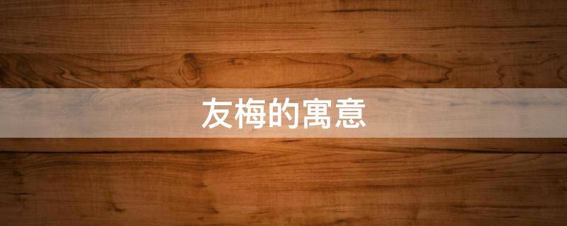 友梅的寓意（友梅的意思）