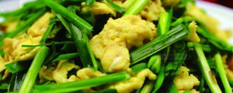 韭菜可以炒哪些东西 韭菜可以炒哪些东西呢