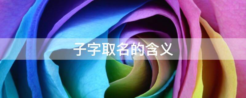子字取名的含义（子字取名的含义是什么寓意）