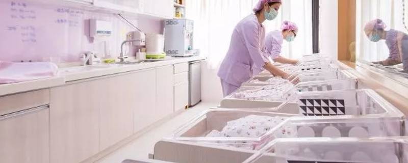 月子中心和月嫂的区别（月子中心与月嫂的区别）