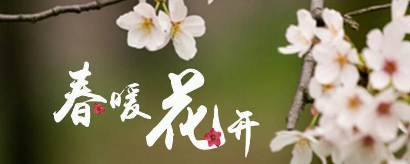 春暖花开祝福语有哪些（春暖花开的祝福语）