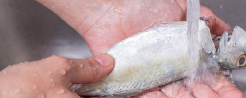 洗鱼后手上的腥味用什么可以去除 洗鱼的手怎么去腥味