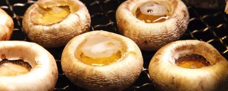 一烤就出汁的蘑菇叫什么 一烤就出汁的蘑菇叫什么