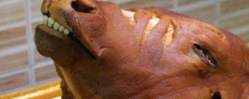 牛头的清理方法（牛头怎么处理干净）