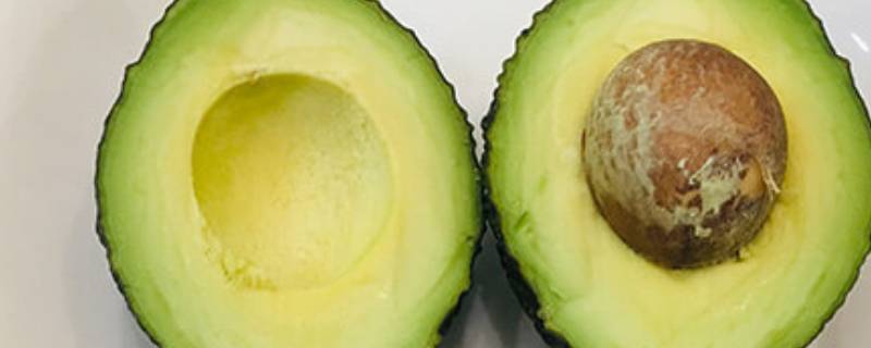 牛油果太硬怎么办 牛油果太硬怎么办才能变软