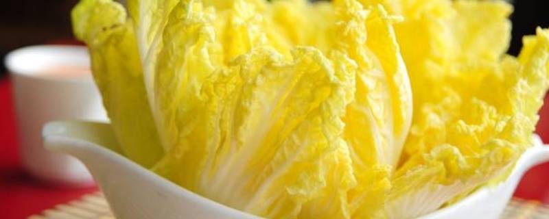 娃娃菜怎么切（娃娃菜怎么切片）