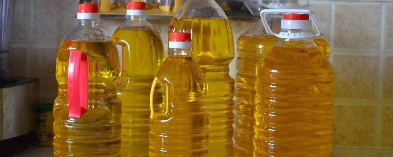 农村榨的花生油保质期多久（农村榨的花生油保质期多久能吃）