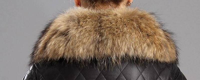 衣服上的毛领如何自己清洗 衣服领毛怎么清洗