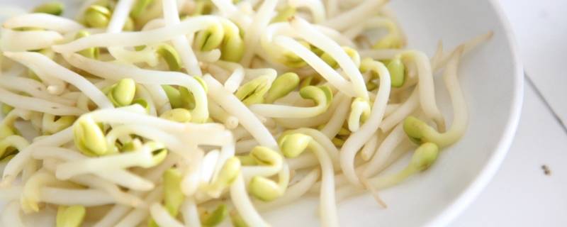 立春吃哪种菜（立春吃哪种菜最好）