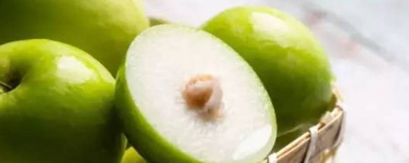 牛奶枣不甜怎么回事（牛奶枣不甜怎么回事儿）