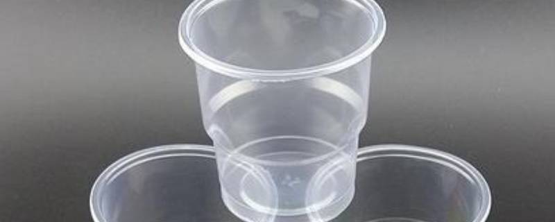 一次性杯子多少两（普通一次性杯子多少两）