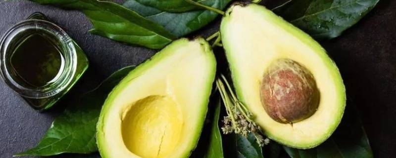 牛油果催熟的方法 牛油果催熟方法图片