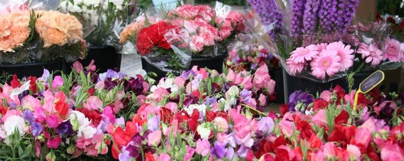 网上买的鲜花怎么醒 网上买的花回来怎么醒花