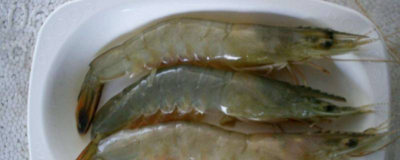 虾3040规格是什么意思（盐冻虾3040规格是什么意思）