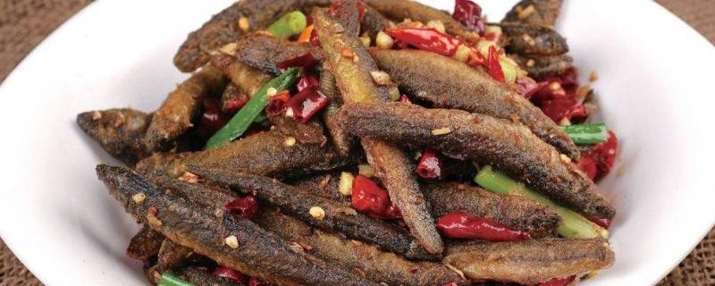 冬天放生泥鳅能活吗（冬天放生泥鳅行吗）