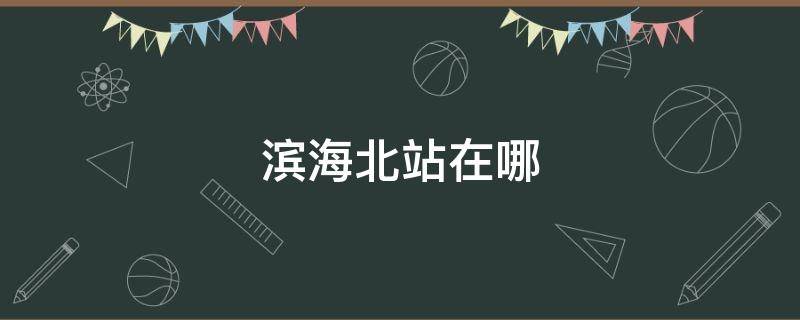 滨海北站在哪 天津滨海新区滨海北站在哪