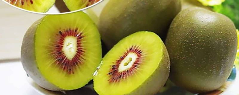 猕猴桃太熟酒味浓能吃吗（猕猴桃太熟酒味浓能吃吗为什么）