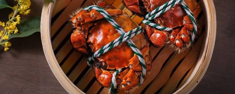 请问虾和螃蟹哪个热量高 请问虾和螃蟹哪个热量高呢